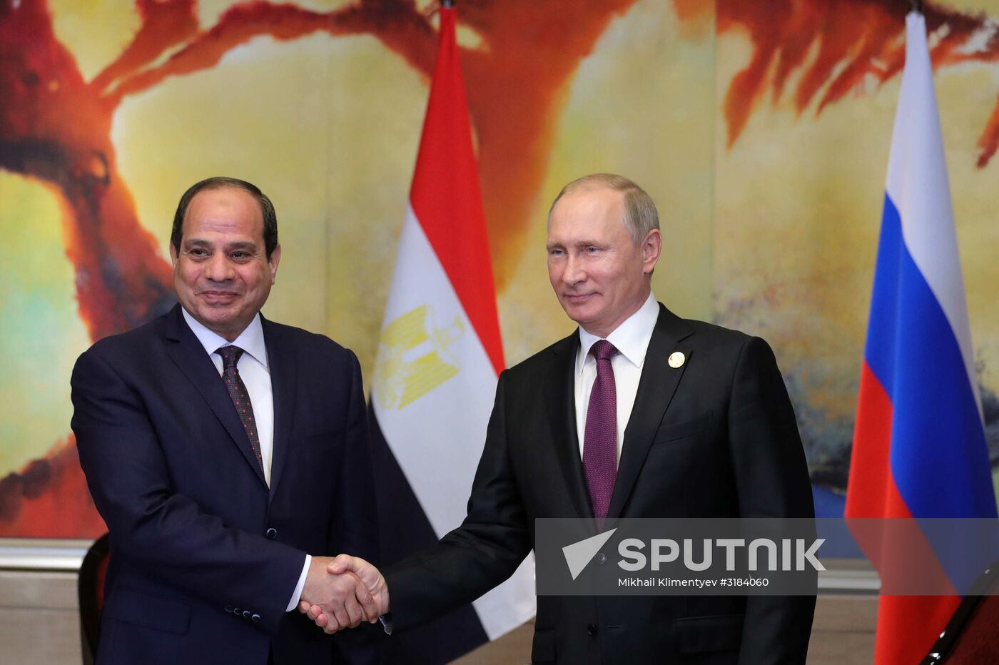 Russian President Vladimir Putin participates in BRICS summit