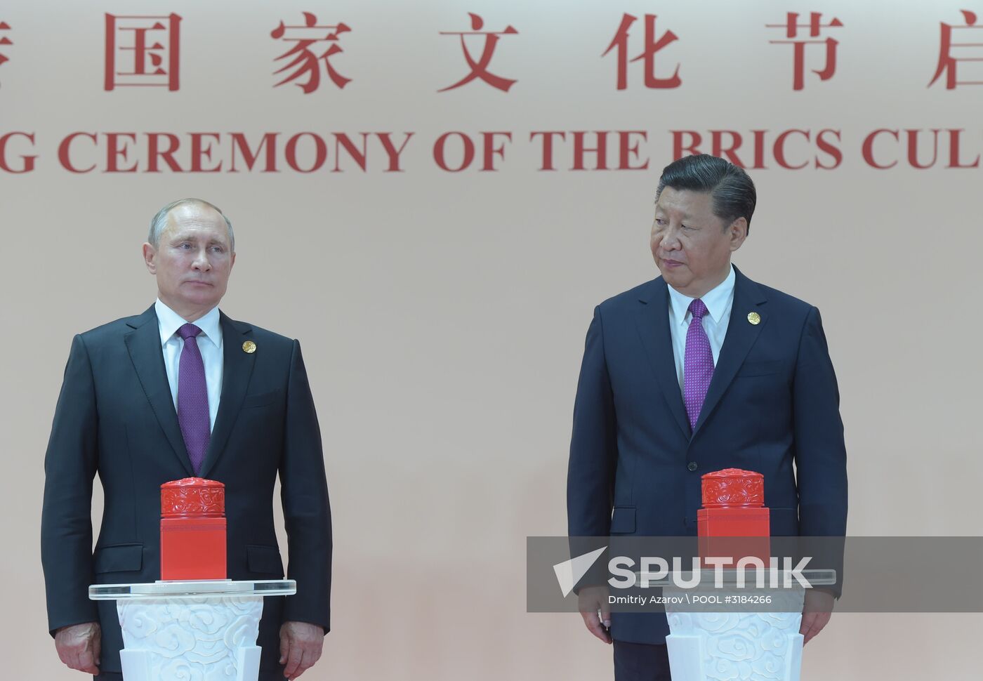 Russian President Vladimir Putin participates in BRICS summit