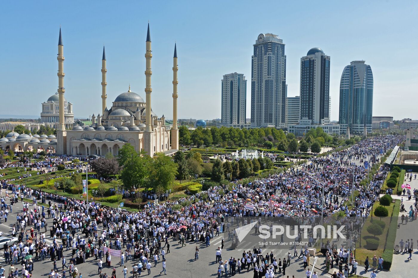 Rally in support of Rohingya Muslims in Grozny