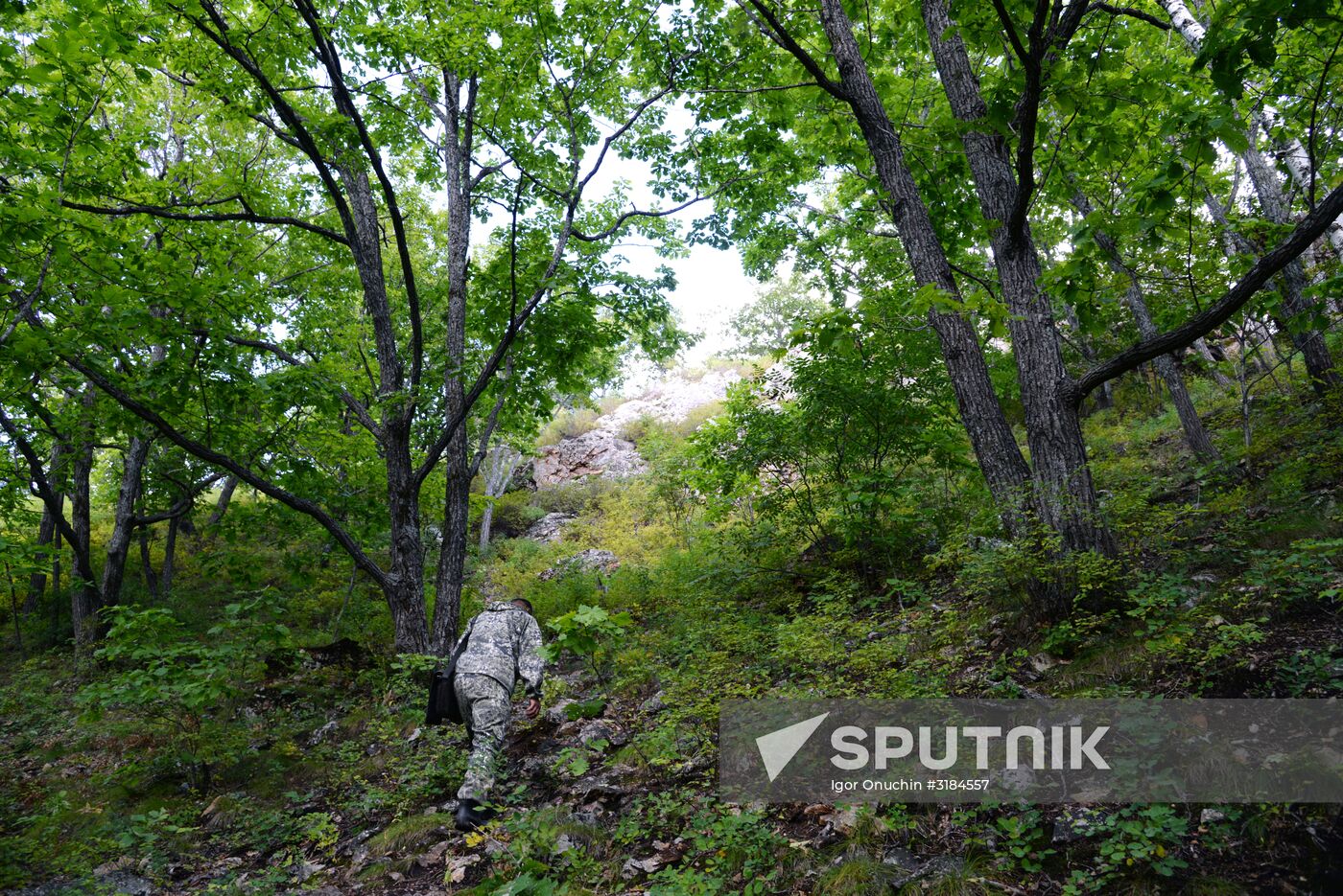 Bolshekhekhtsirsky reserve