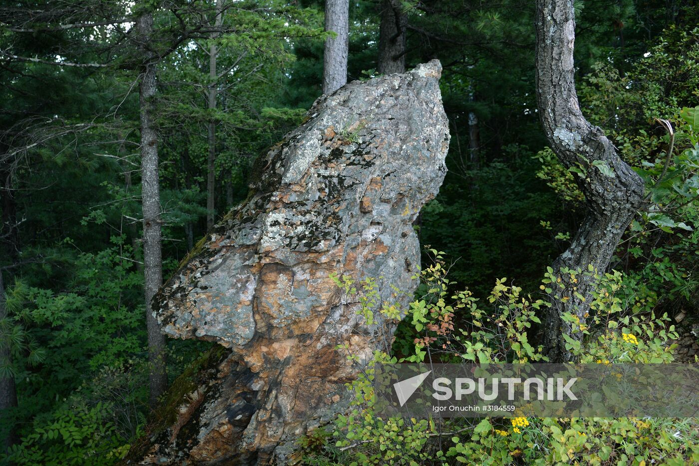 Bolshekhekhtsirsky reserve