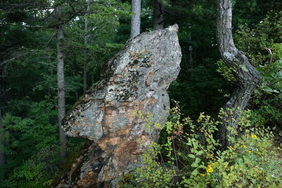 Bolshekhekhtsirsky reserve