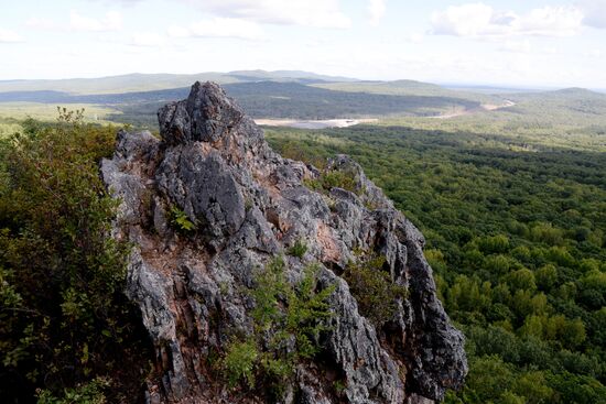 Bolshekhekhtsirsky reserve