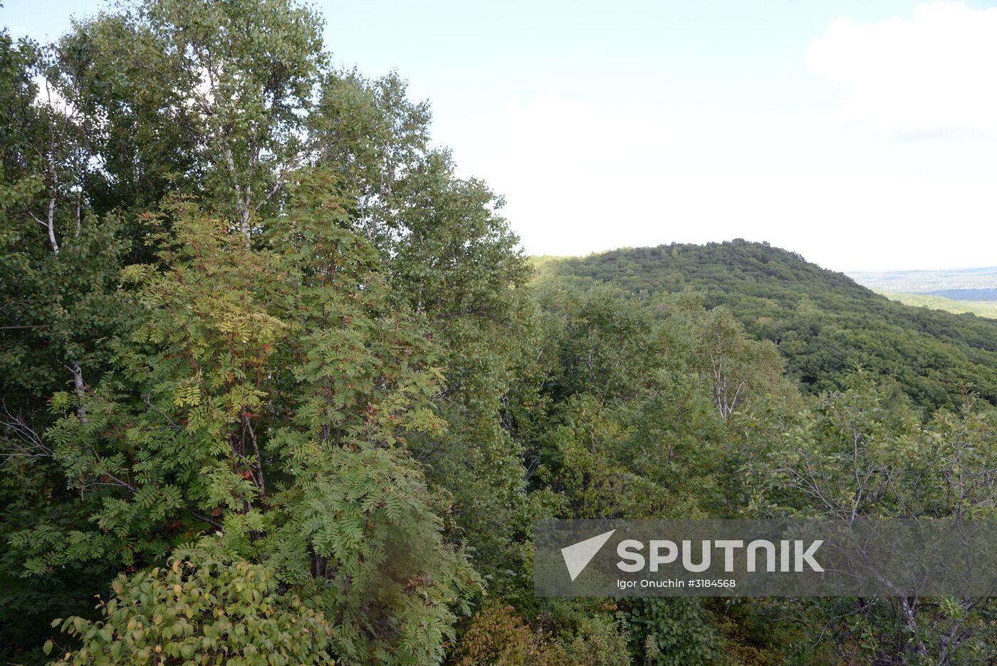 Bolshekhekhtsirsky reserve