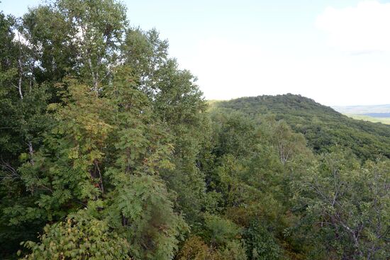 Bolshekhekhtsirsky reserve