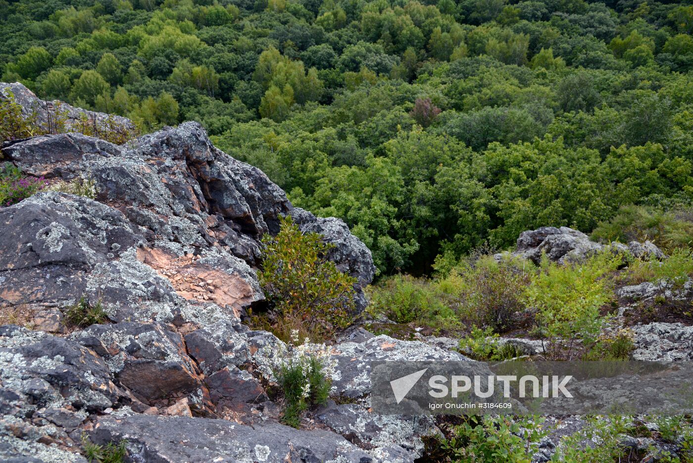 Bolshekhekhtsirsky reserve