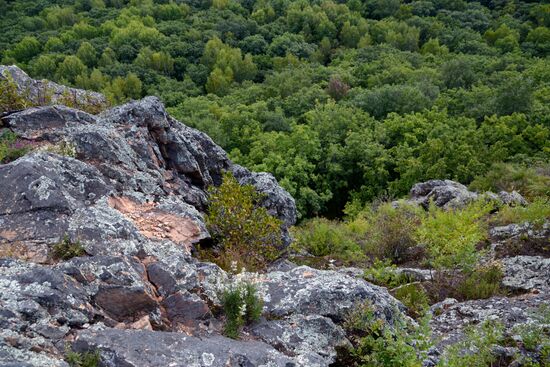 Bolshekhekhtsirsky reserve