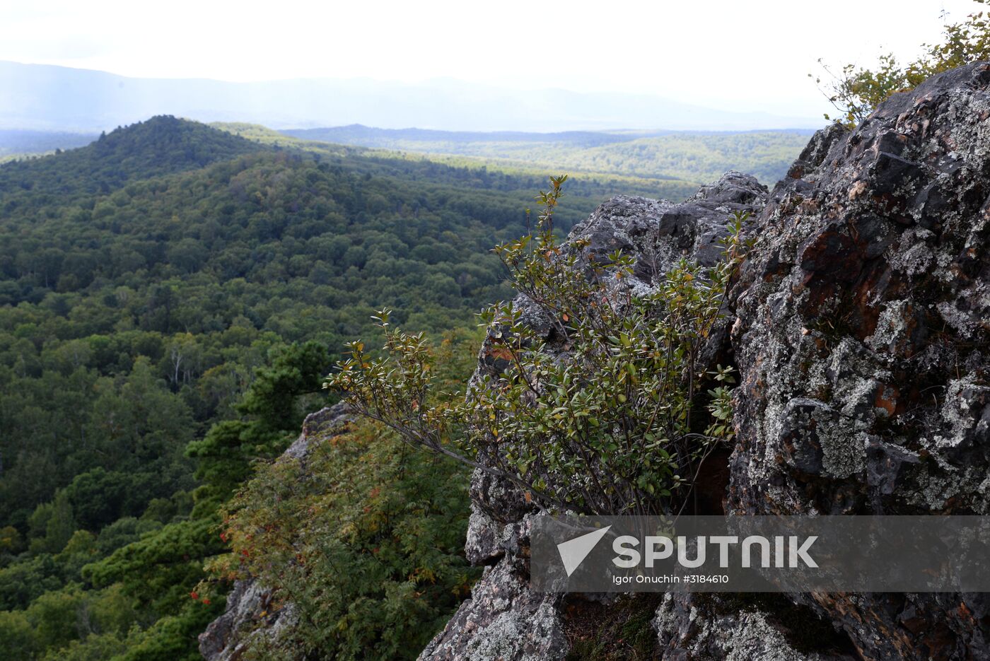Bolshekhekhtsirsky reserve