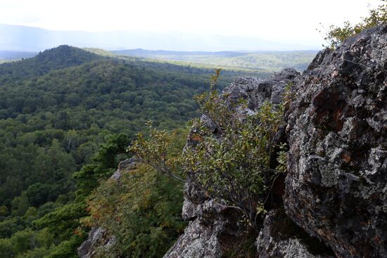 Bolshekhekhtsirsky reserve