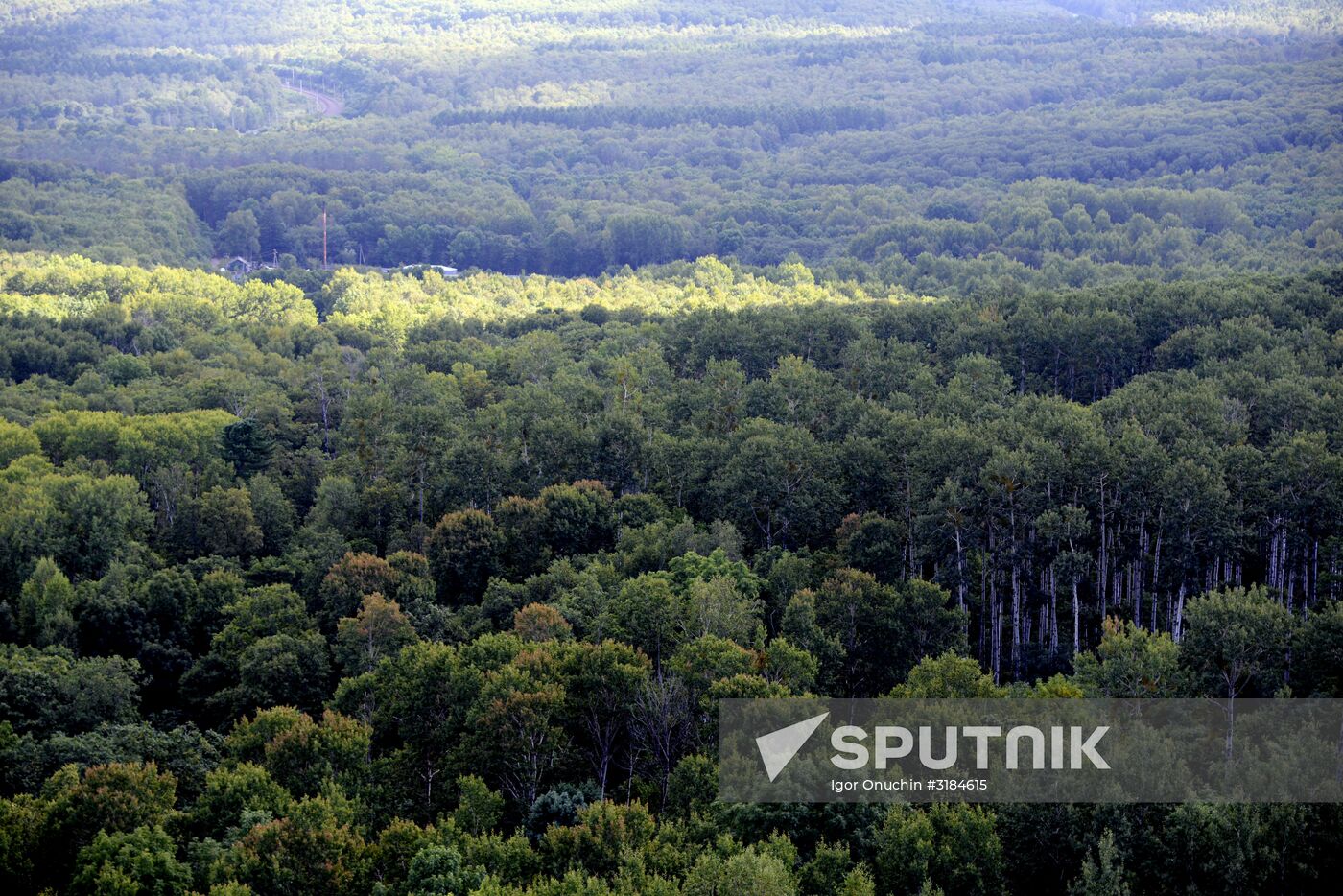 Bolshekhekhtsirsky reserve