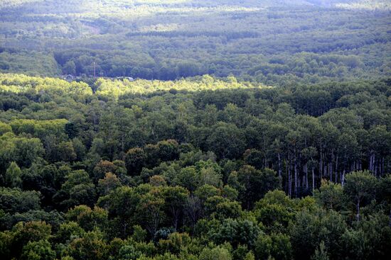 Bolshekhekhtsirsky reserve
