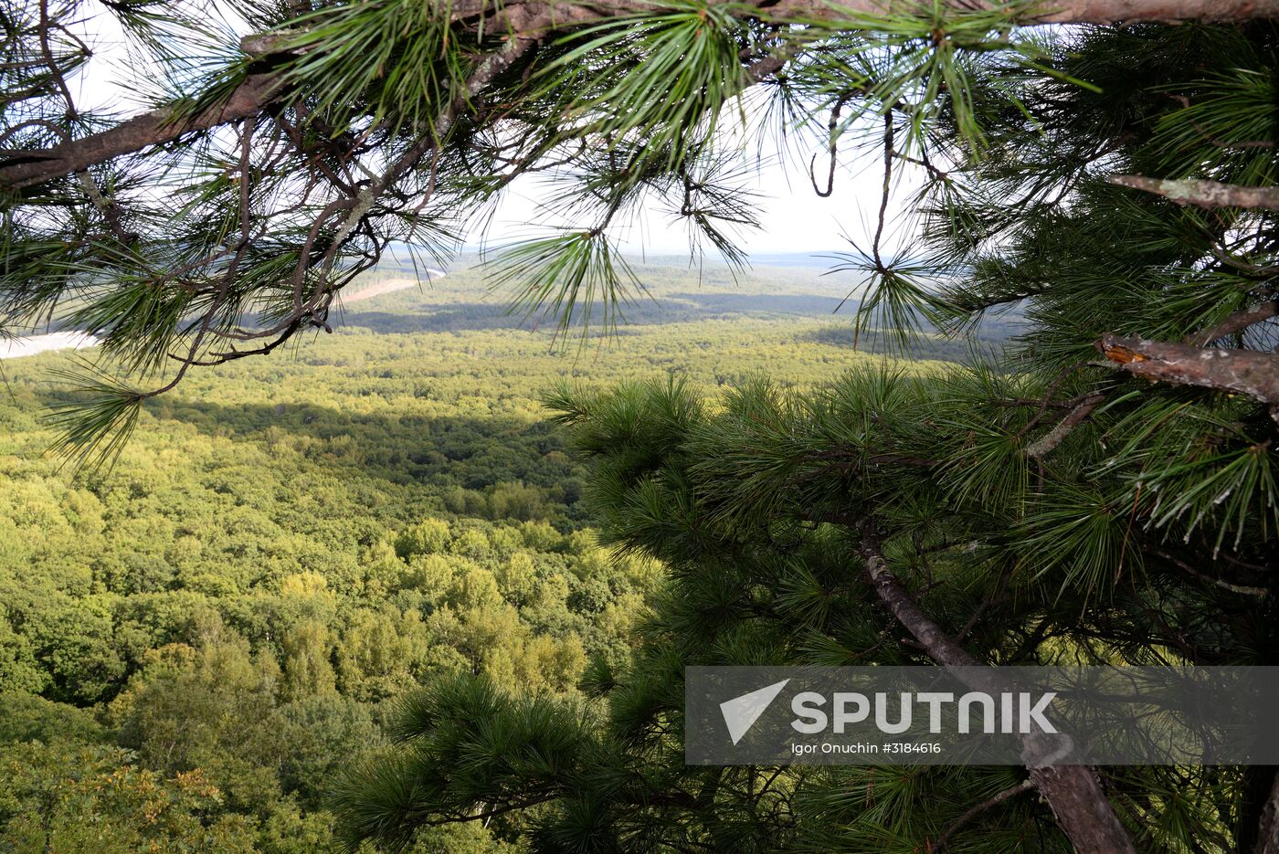 Bolshekhekhtsirsky reserve