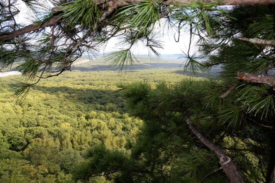 Bolshekhekhtsirsky reserve