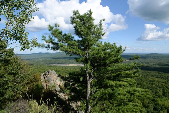 Bolshekhekhtsirsky reserve