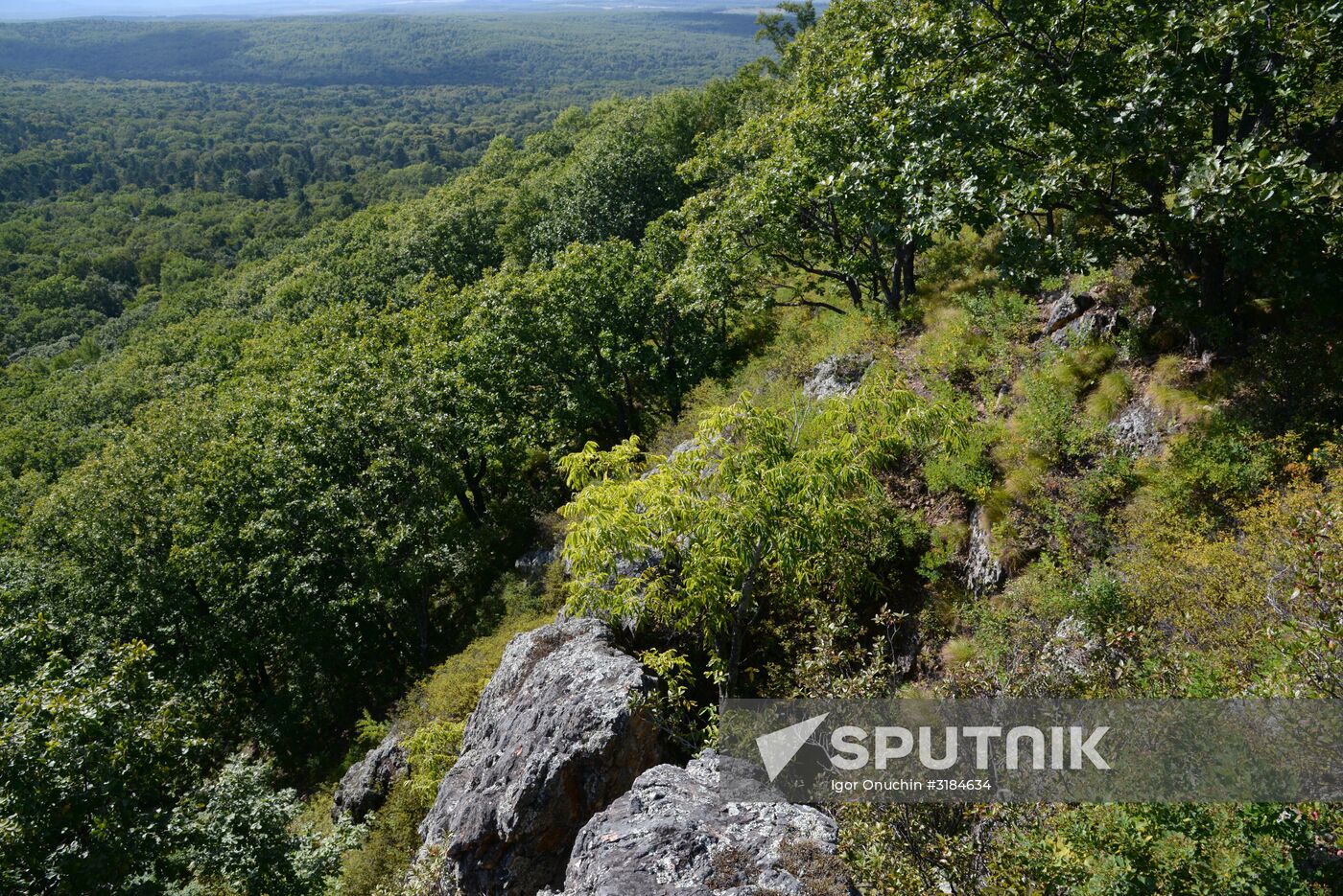 Bolshekhekhtsirsky reserve