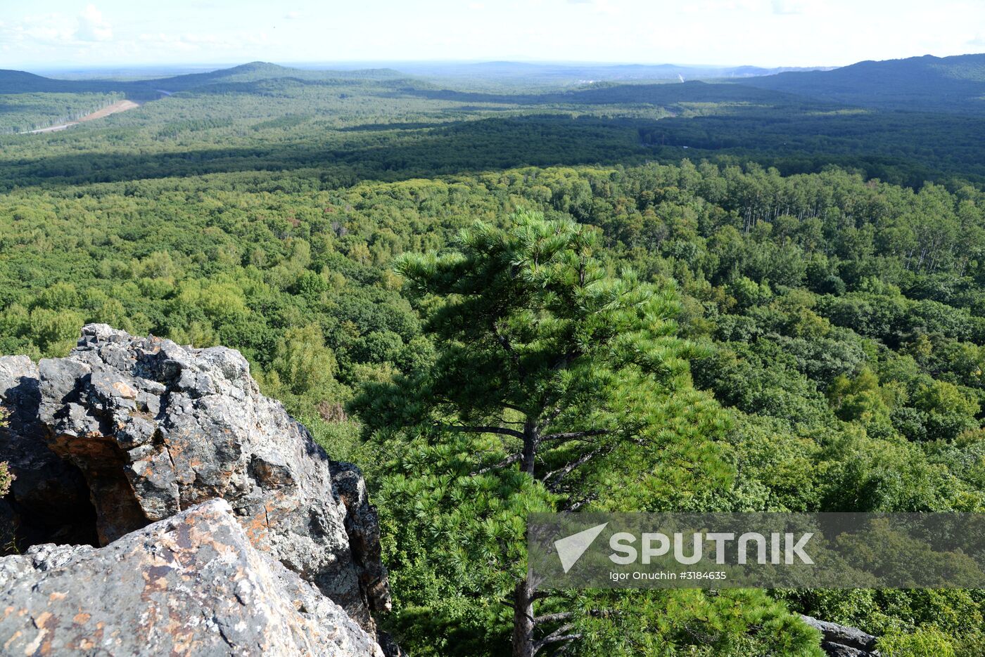 Bolshekhekhtsirsky reserve