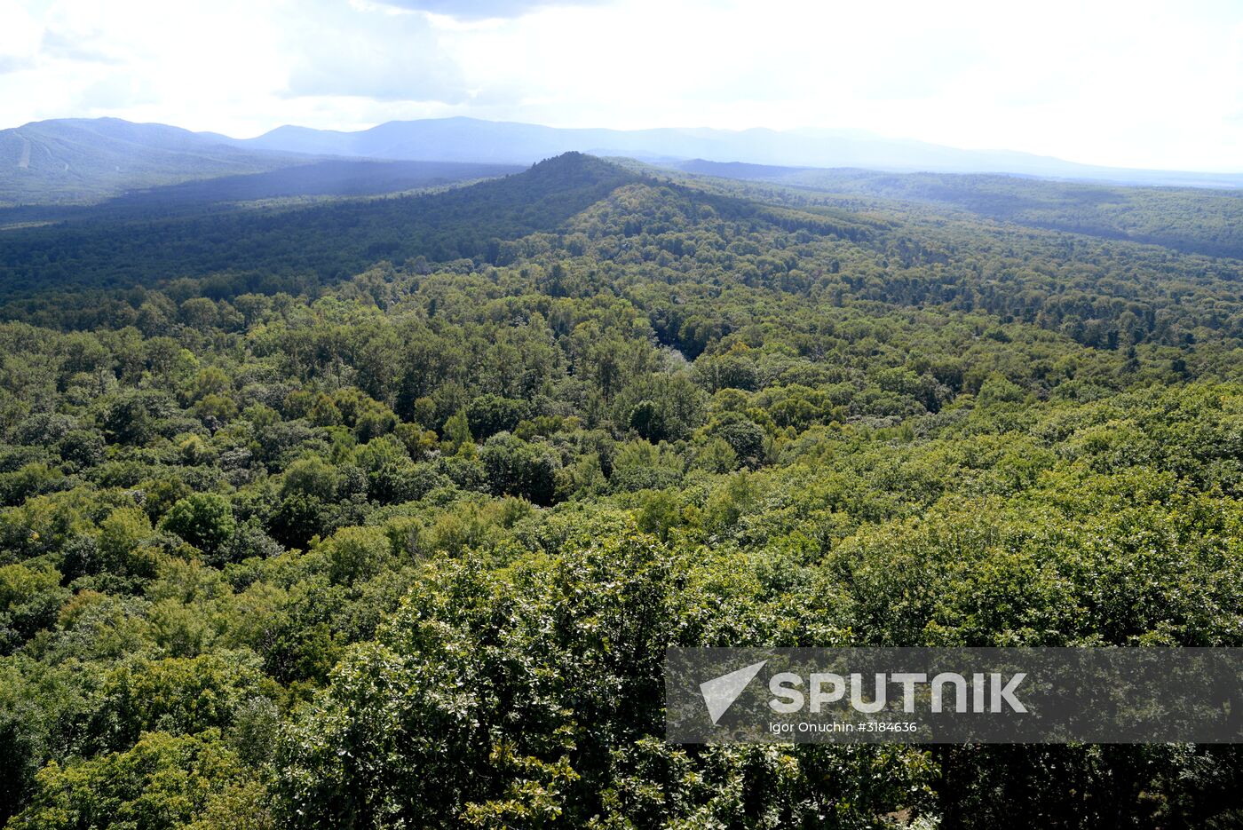 Bolshekhekhtsirsky reserve