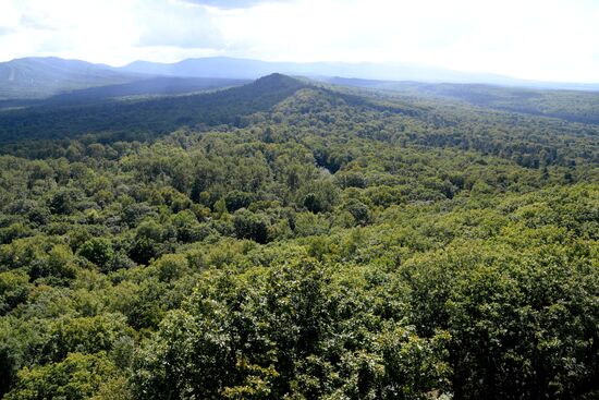 Bolshekhekhtsirsky reserve