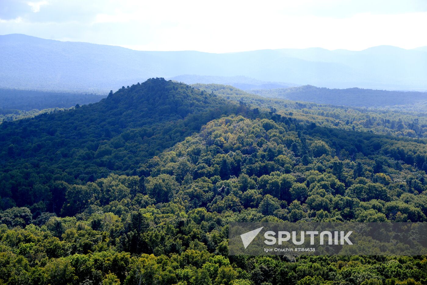 Bolshekhekhtsirsky reserve