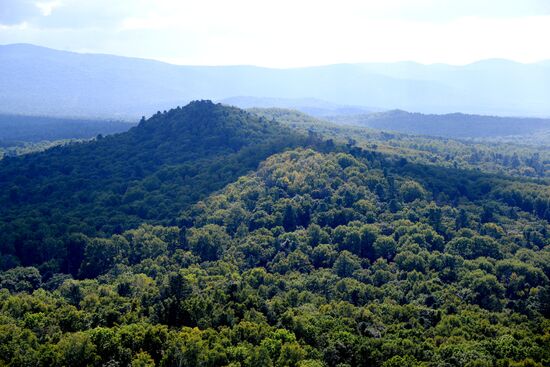 Bolshekhekhtsirsky reserve