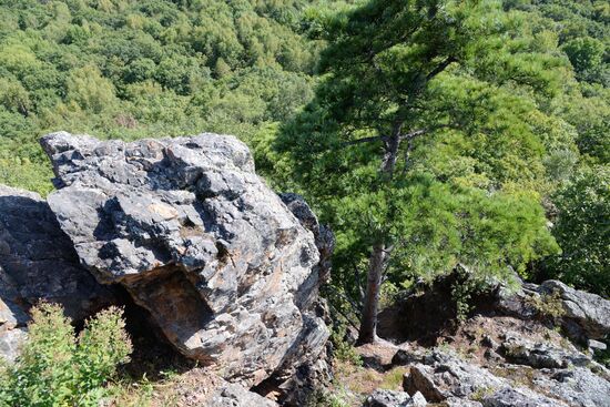Bolshekhekhtsirsky reserve