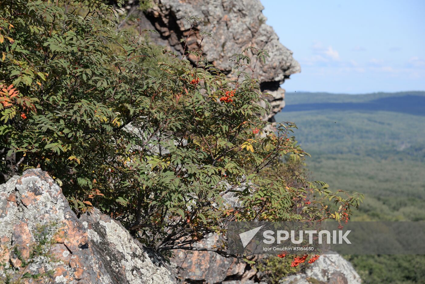 Bolshekhekhtsirsky reserve