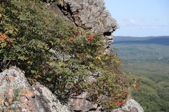 Bolshekhekhtsirsky reserve