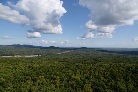 Bolshekhekhtsirsky reserve