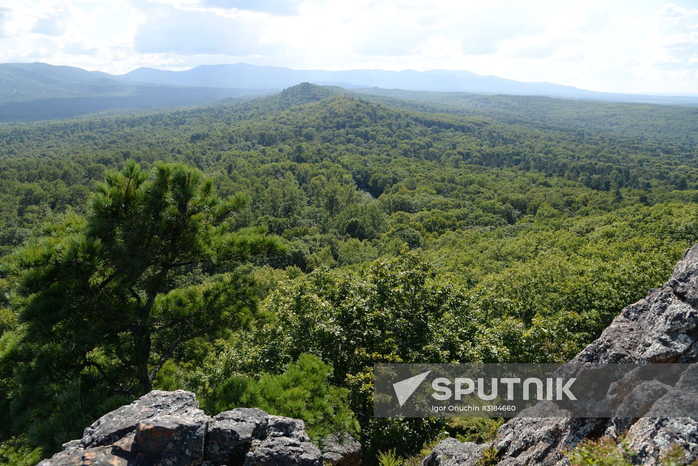 Bolshekhekhtsirsky reserve