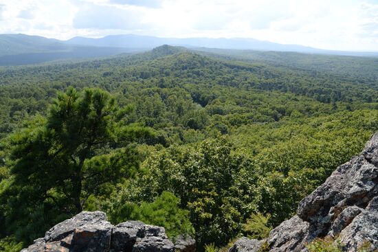 Bolshekhekhtsirsky reserve