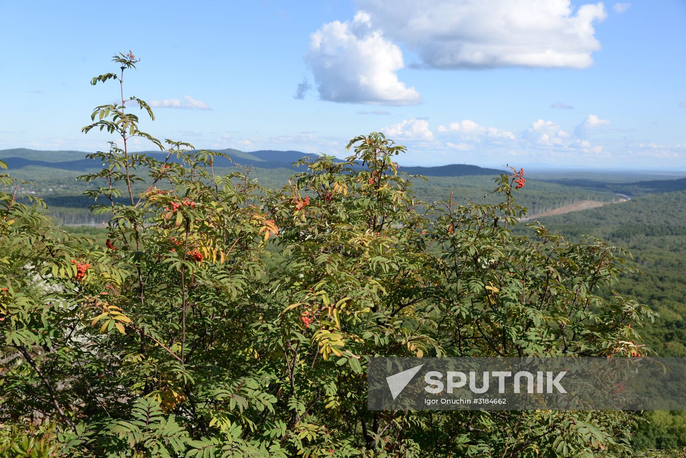 Bolshekhekhtsirsky reserve