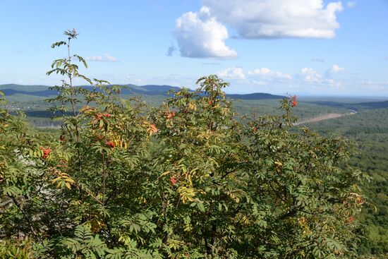 Bolshekhekhtsirsky reserve