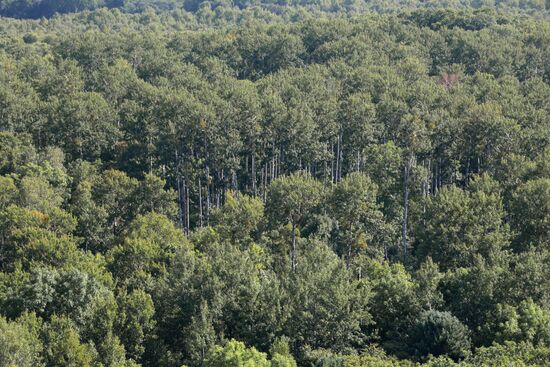 Bolshekhekhtsirsky reserve