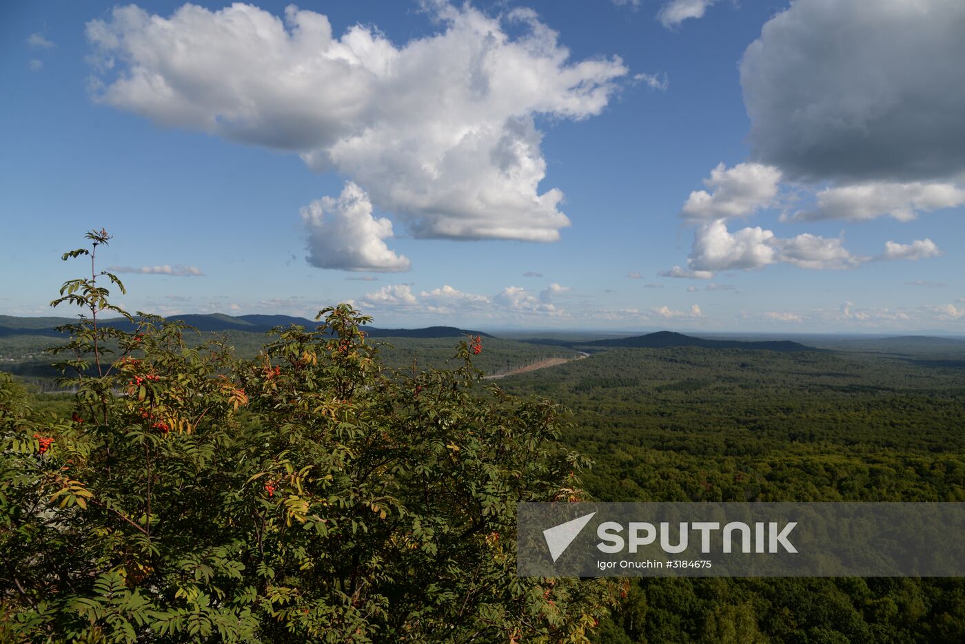 Bolshekhekhtsirsky reserve