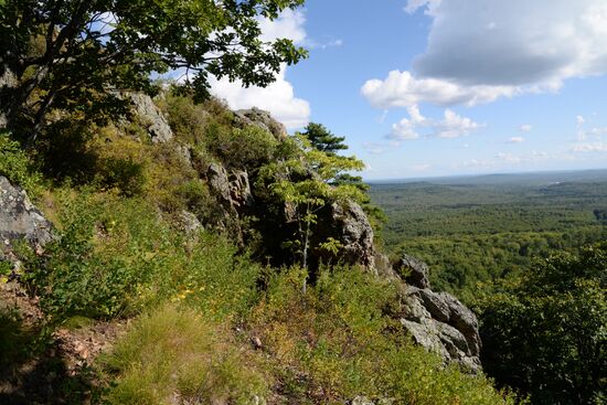 Bolshekhekhtsirsky reserve