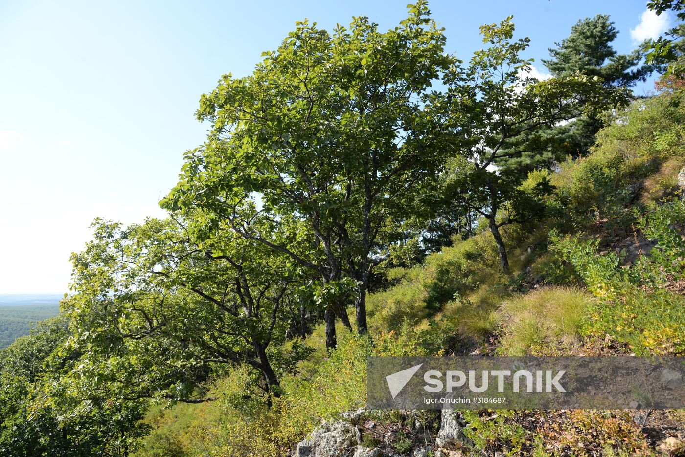 Bolshekhekhtsirsky reserve