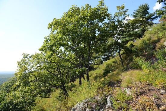 Bolshekhekhtsirsky reserve