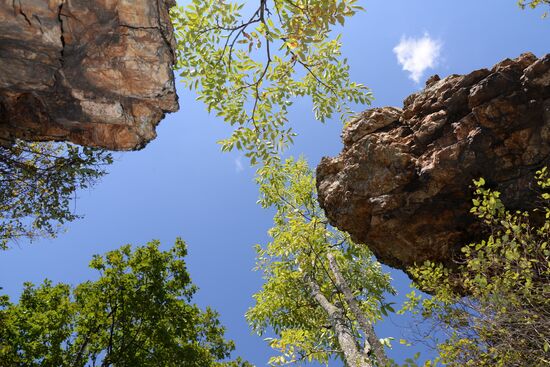 Bolshekhekhtsirsky reserve