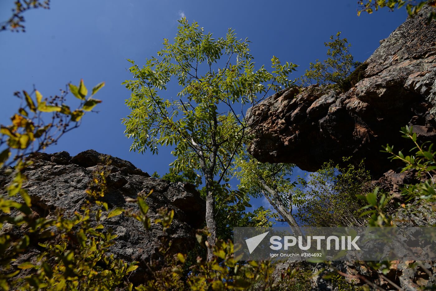 Bolshekhekhtsirsky reserve
