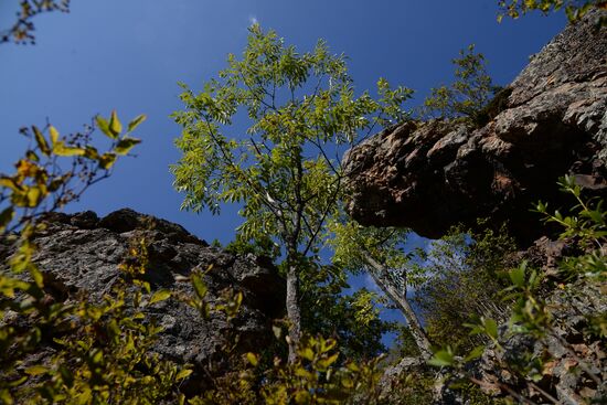 Bolshekhekhtsirsky reserve