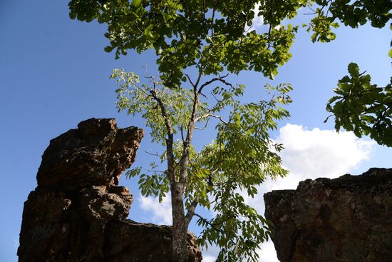 Bolshekhekhtsirsky reserve