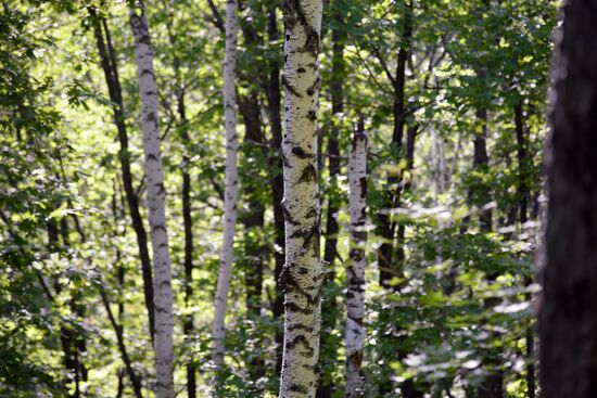 Bolshekhekhtsirsky reserve