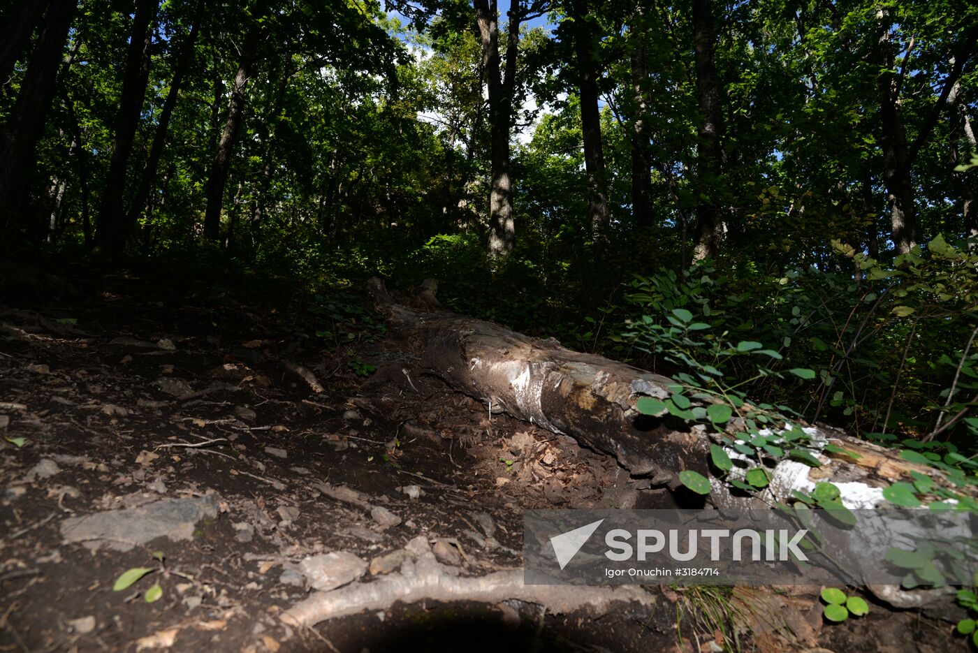 Bolshekhekhtsirsky reserve