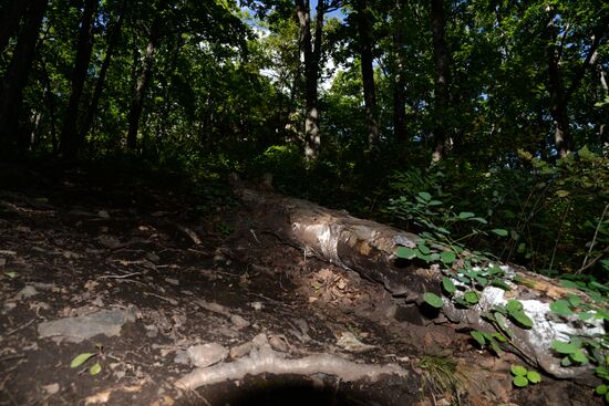 Bolshekhekhtsirsky reserve