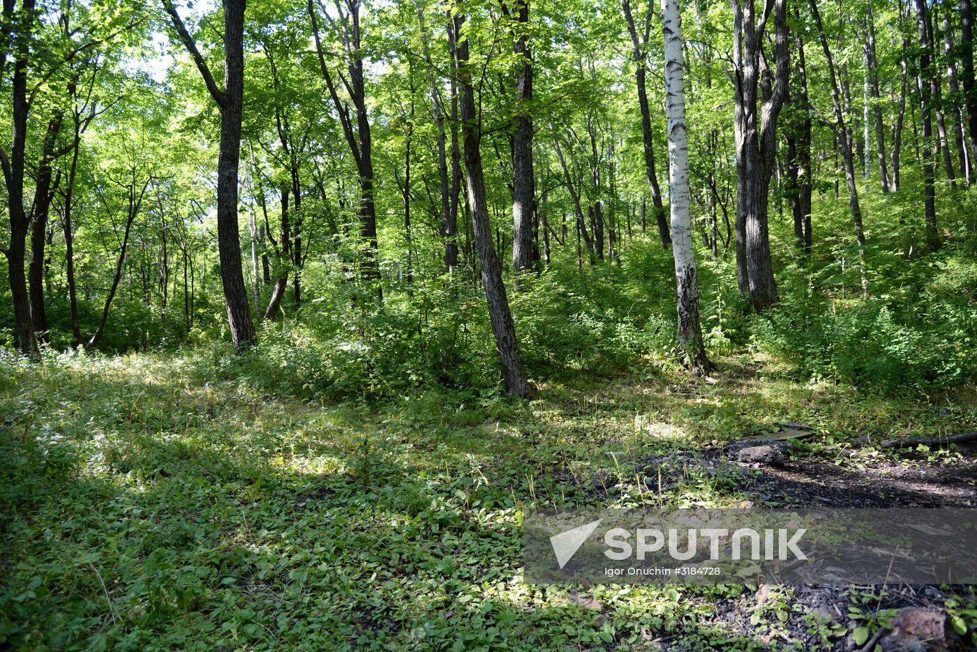 Bolshekhekhtsirsky reserve