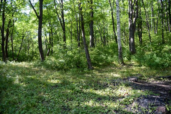 Bolshekhekhtsirsky reserve