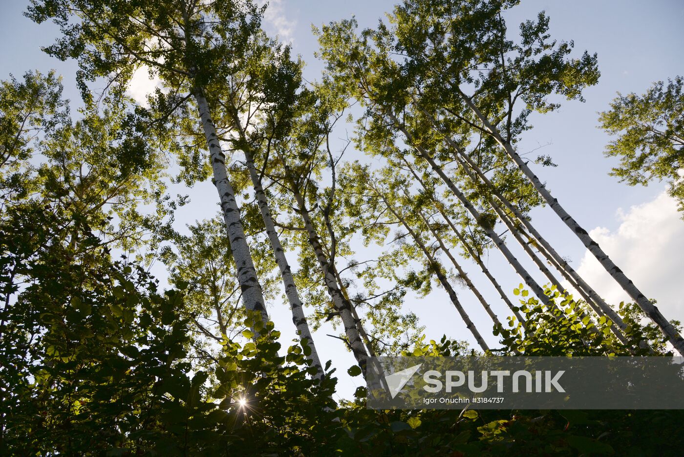 Bolshekhekhtsirsky reserve