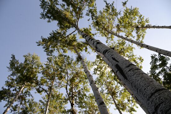 Bolshekhekhtsirsky reserve