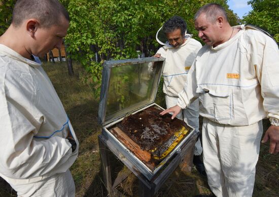 Beekeeper from Voronezh region