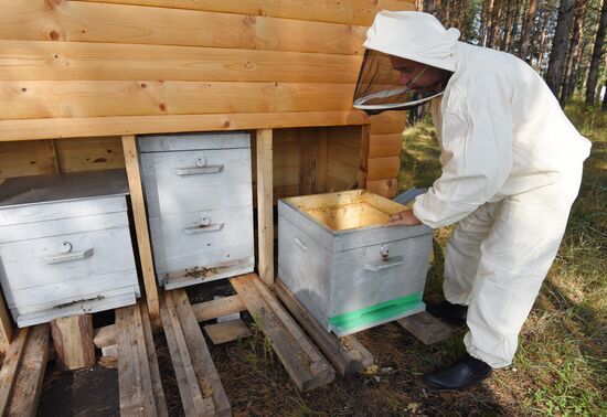 Beekeeper from Voronezh region